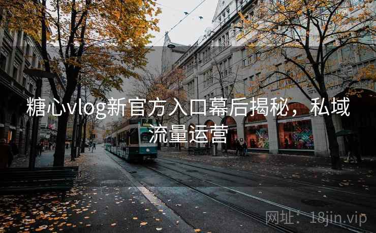 糖心vlog新官方入口幕后揭秘,私域流量运营
