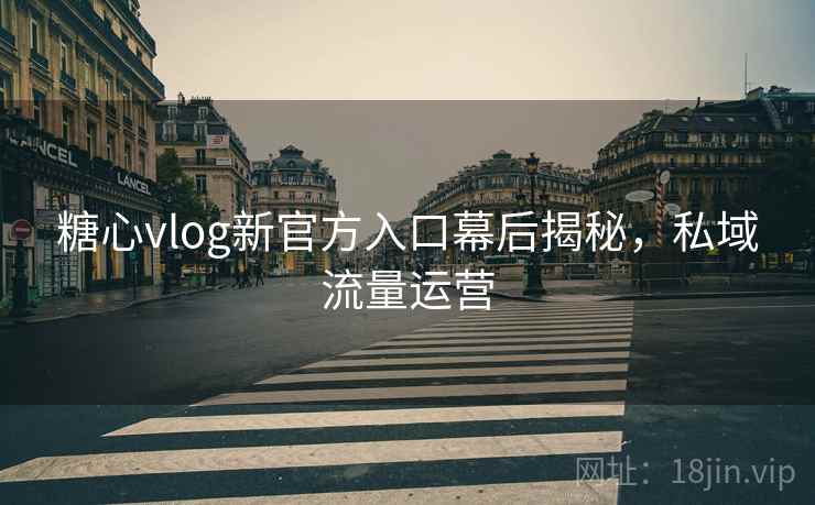 糖心vlog新官方入口幕后揭秘,私域流量运营